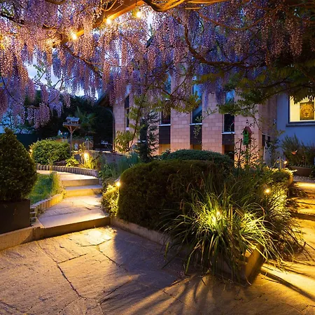 Quiet Private - Personal Welcome - Basel * Saint-Louis (Haut-Rhin)